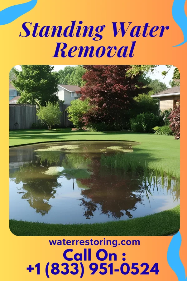 Standing Water Removal in Glade, KS